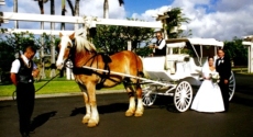 Maui Wedding Photographers